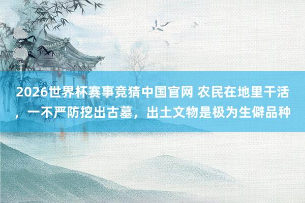 2026世界杯赛事竞猜中国官网 农民在地里干活,一不严防挖出古墓,出土文物是极为生僻品种