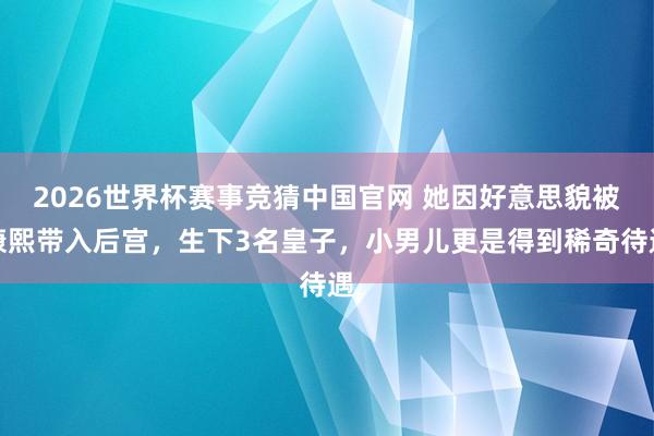 2026世界杯赛事竞猜中国官网 她因好意思貌被康熙带入后宫,生下3名皇子,小男儿更是得到稀奇待遇