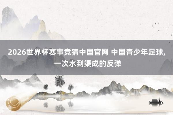 2026世界杯赛事竞猜中国官网 中国青少年足球, 一次水到渠成的反弹