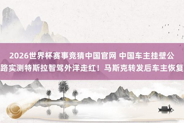 2026世界杯赛事竞猜中国官网 中国车主挂壁公路实测特斯拉智驾外洋走红!马斯克转发后车主恢复