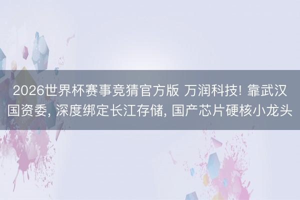 2026世界杯赛事竞猜官方版 万润科技! 靠武汉国资委， 深度绑定长江存储， 国产芯片硬核小龙头